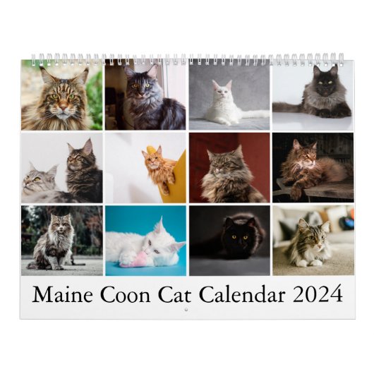 Maine Coon Cat Kalender (Hoes)
