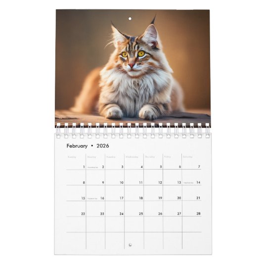 Maine Coon Cat Kalender Digitale AI Verf (Feb 2026)