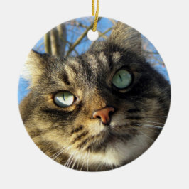 Maine Coon Cat Kat Keramisch Ornament