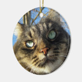 Maine Coon Cat Kat Keramisch Ornament (Links)