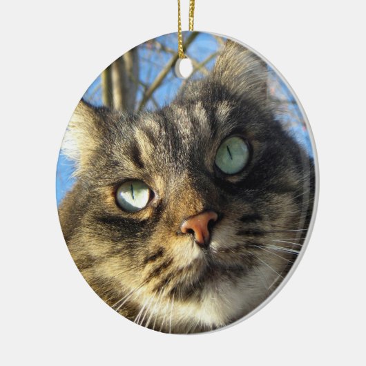 Maine Coon Cat Kat Keramisch Ornament (Links)
