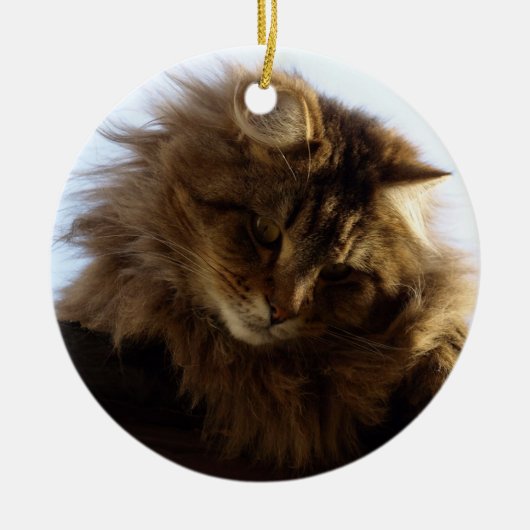 Maine Coon Cat Keramisch Ornament (Voorkant)