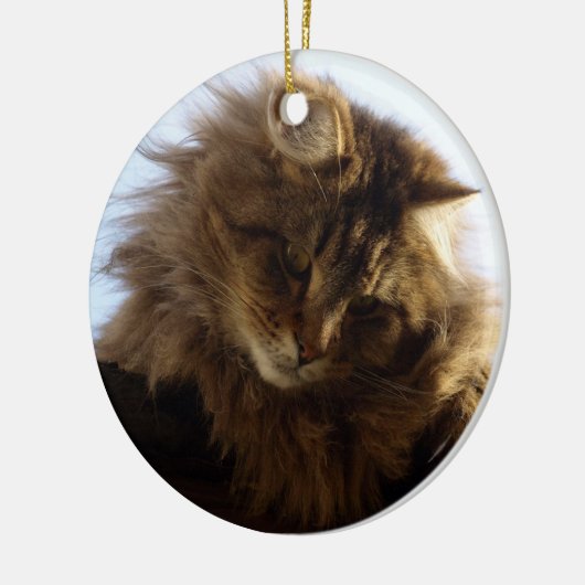 Maine Coon Cat Keramisch Ornament (Links)