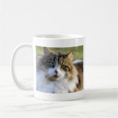 Maine Coon Cat Koffiemok (Links)