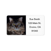 Maine Coon Cat Labels (Voorkant)