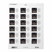 Maine Coon Cat Labels (Full Sheet)