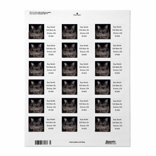 Maine Coon Cat Labels (Full Sheet)