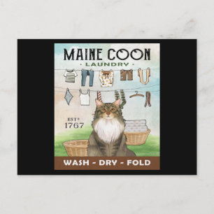 Maine Coon Cat Laundry Company Briefkaart