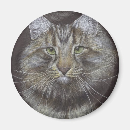 Maine Coon Cat Magneet (Voorkant)