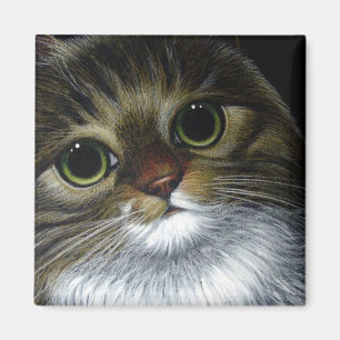 MAINE COON CAT Magnet