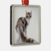 Maine Coon cat Metalen Ornament (Rechts)