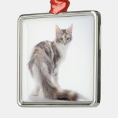 Maine Coon cat Metalen Ornament (Links)