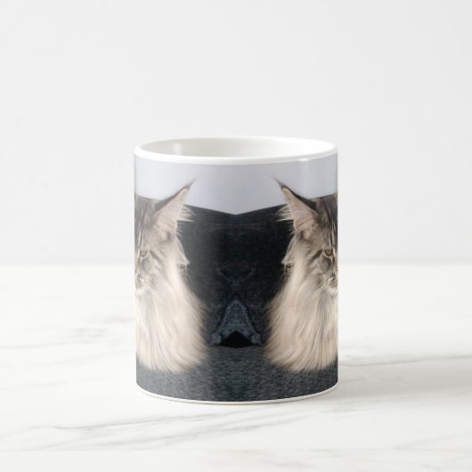 Maine Coon Cat Mok (Center)