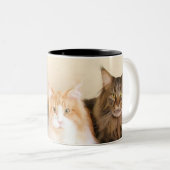 Maine coon Cat mokken (Voorkant rechts)