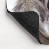 Maine Coon cat Muismat (Hoek)