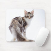 Maine Coon cat Muismat (Met muis)