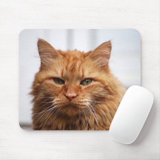 Maine Coon Cat Muismat (Met muis)