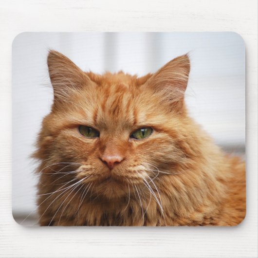 Maine Coon Cat Muismat (Voorkant)