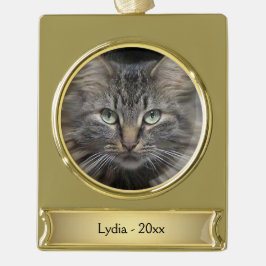Maine Coon Cat Name en Year Verguld Banner Ornament