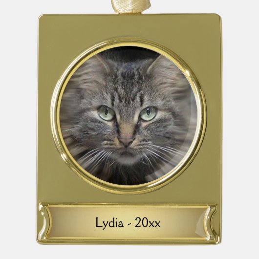 Maine Coon Cat Name en Year Verguld Banner Ornament (Voorkant)