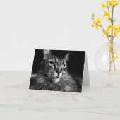 Maine Coon Cat notecard 4 x 5.6 Kaart (Gele Bloem)