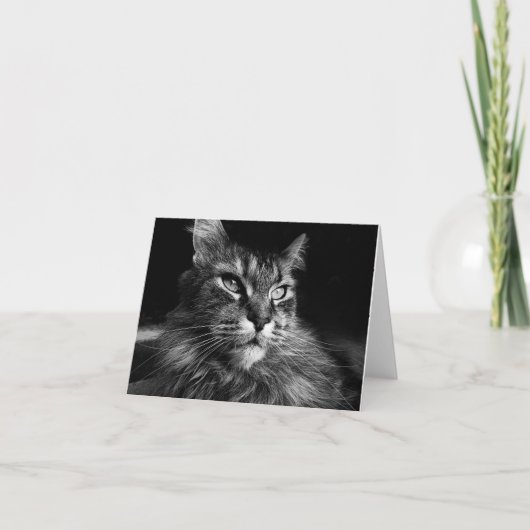 Maine Coon Cat notecard 4 x 5.6 Kaart (Voorkant)