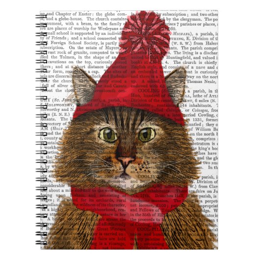 Maine Coon Cat Notitieboek (Voorkant)