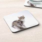Maine Coon cat Onderzetter (Linkerzijde)