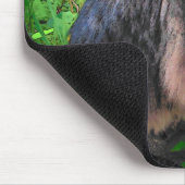 Maine Coon Cat op bakstenen Muismat (Hoek)