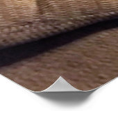 Maine Coon Cat op Sofa Poster (Hoek)