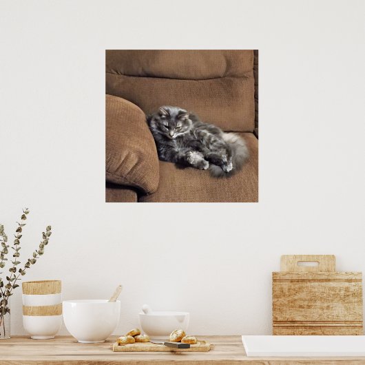Maine Coon Cat op Sofa Poster (Keuken)