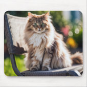 Maine Coon Cat Op Stoel Muismat (Voorkant)