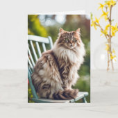 Maine Coon Cat Op Stoel voor Verjaardag Kaart (Gele Bloem)