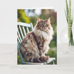 Maine Coon Cat Op Stoel voor Verjaardag Kaart