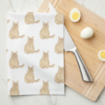 Maine Coon Cat (Oranje)