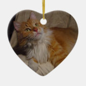 Maine Coon cat Ornament (Voorkant)