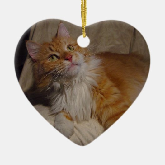 Maine Coon cat Ornament (Voorkant)