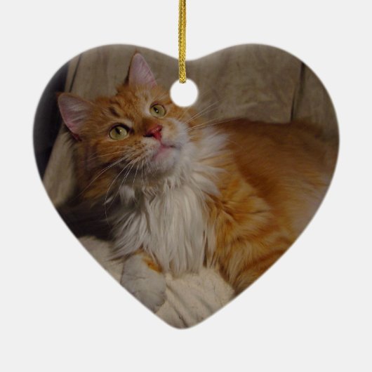 Maine Coon cat Ornament (Achterkant)