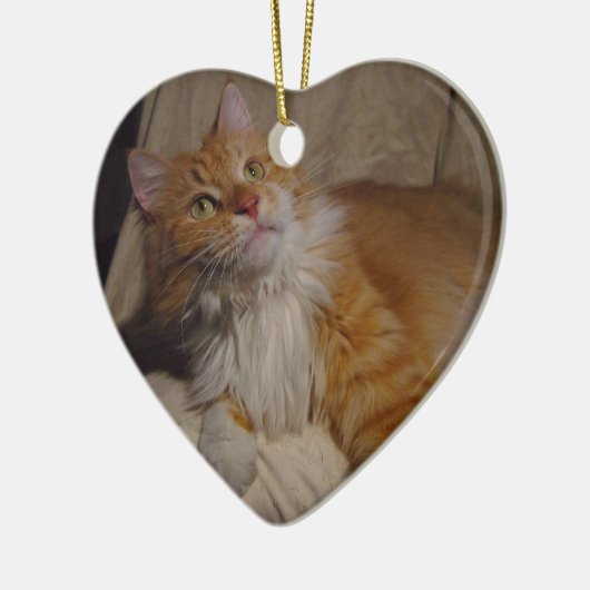 Maine Coon cat Ornament (Links)