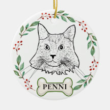 Maine Coon Cat Personalized