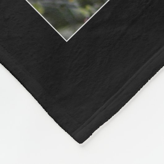 Maine Coon Cat Pet Fleece Deken (Hoek)