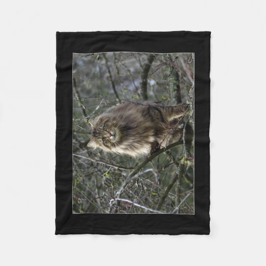 Maine Coon Cat Pet Fleece Deken (Voorkant)