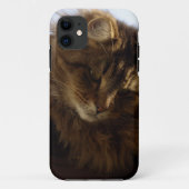 Maine Coon Cat Pet Telefoon Case (Achterkant)