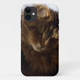 Maine Coon Cat Pet Telefoon Case