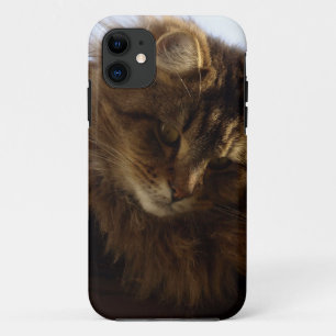 Maine Coon Cat Pet Telefoon Case