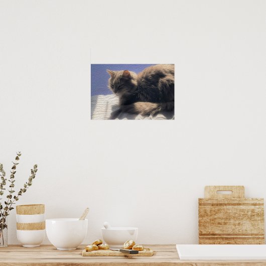 Maine Coon Cat Photo Poster (Keuken)