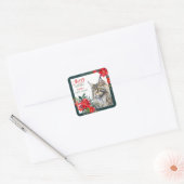Maine Coon Cat Poinsettia Border Christmas Vierkante Sticker (Envelop)