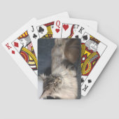 Maine Coon Cat Pokerkaarten (Achterkant)