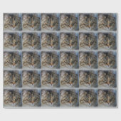 Maine Coon Cat Portrait Wrapping Paper Cadeaupapier (Vlak)