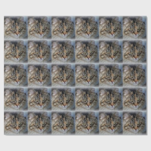 Maine Coon Cat Portrait Wrapping Paper Cadeaupapier (Vlak)
